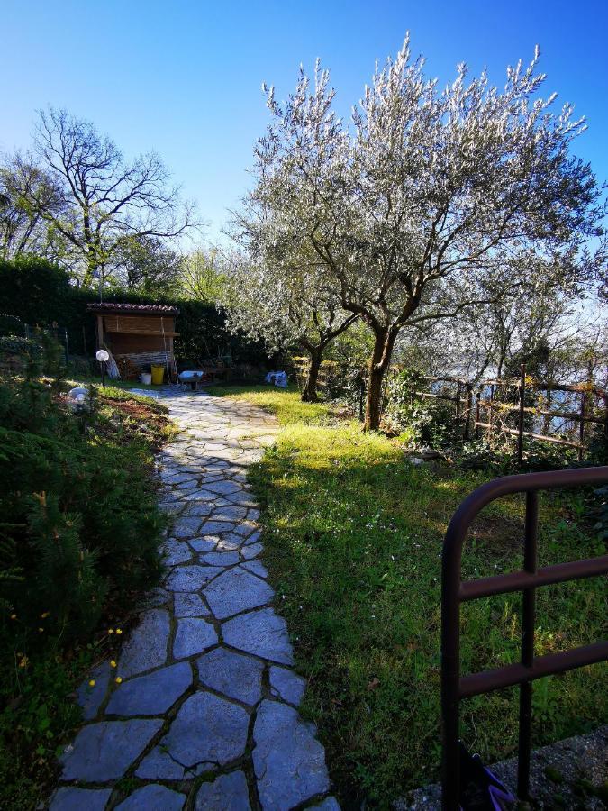 Casa Olivi Apartment Civate Luaran gambar
